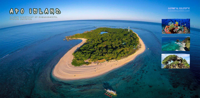 Apo Island Marine Sanctuary