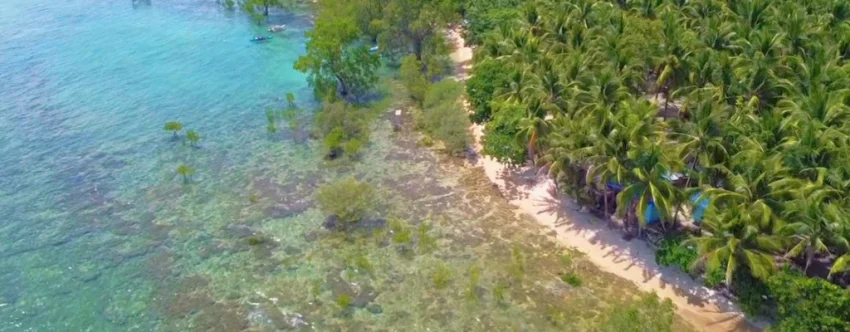 Aerial view of a quiet coastline in Basay, Negros Oriental, showing clear turquoise water, a narrow sandy beach, shallow reef areas, mangrove growth, and dense coconut trees along the shore.