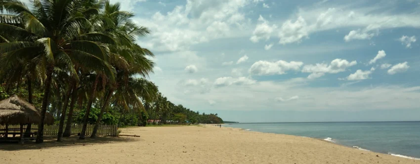 Quiet sandy beach in Hinoba-an, Negros Occidental, with tall coconut trees, a small native hut, calm blue sea, distant shoreline, and a bright sky filled with soft white clouds.