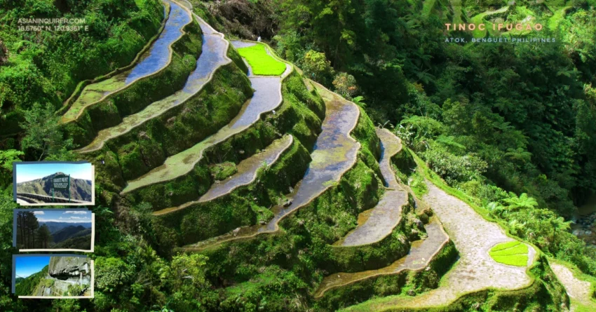 tinok_ifugao_benguet