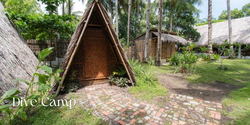 Featured image of Dive Camp in Dauin showing an A-frame bamboo cottage surrounded by coconut palms, tropical plants, thatched-roof buildings, and a rustic brick pathway through the garden.