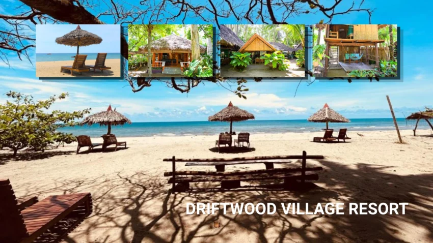 Driftwood Village Resort in Sipalay featuring a wide sandy beach with thatched umbrellas, wooden lounge chairs, calm blue water, and inset views of tropical cottages surrounded by lush greenery.