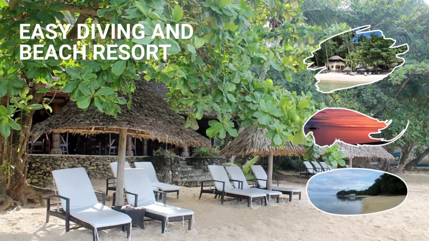 Easy Diving and Beach Resort in Sipalay with white lounge chairs beneath leafy trees, thatched cottages beside the sand, and inset views of the beachfront, calm sea, and colorful sunset.