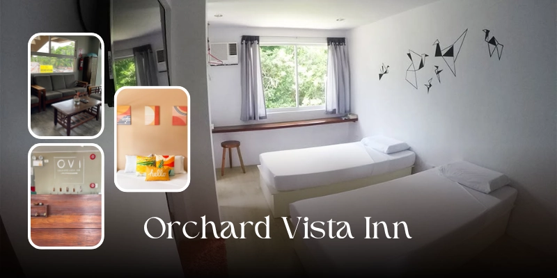 Featured image of Orchard Vista Inn showing a bright guest room with two single beds, white linens, a large window overlooking greenery, an air-conditioning unit, and simple modern furnishings, with smaller inset photos of the inn’s lounge, reception area, and another bedroom.